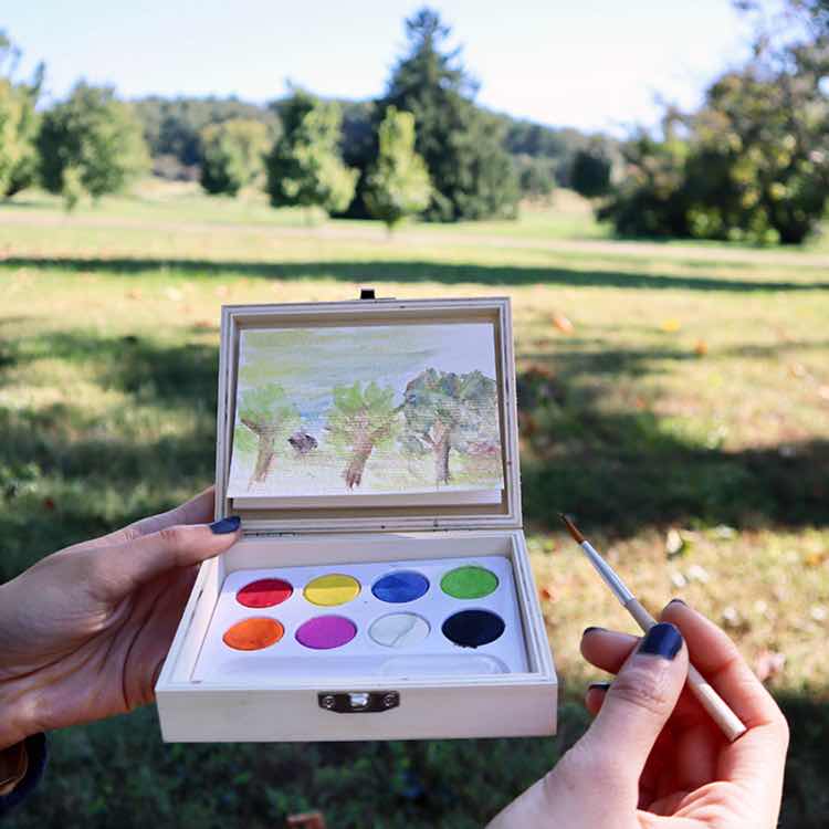 Huckleberry Landscape Paint Kit